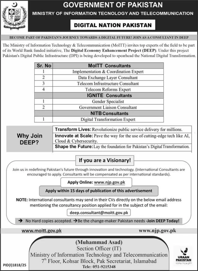 Consultant Jobs 2025