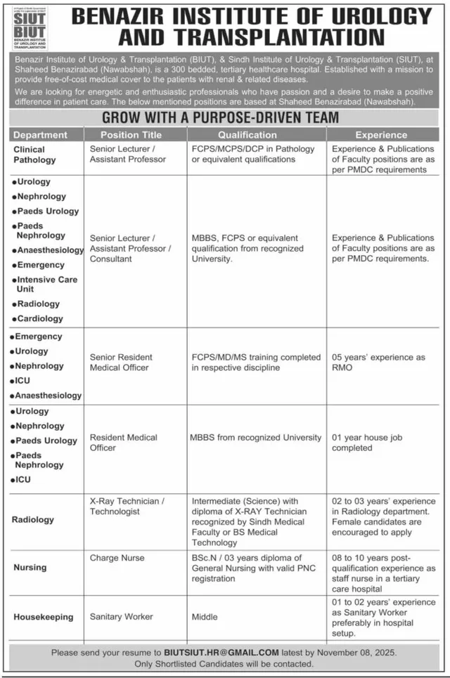 Senior Lecturer / Assistant Professor / Consultant (BIUT/SIUT) Shaheed Benazirabad Jobs 2025