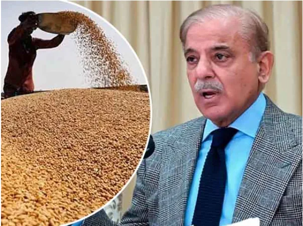 حکومت کا 6.25 ملین ٹن گندم پلان؛ خریداری نجی سیکٹر کے سپرد
