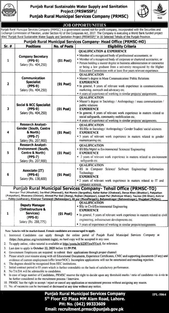 PRMSC Associate IT Jobs 2025 Associate IT PPS 6 Punjab Rural Municipal Services Company Lahore