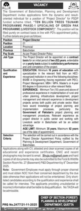 Project Director Jobs 2025