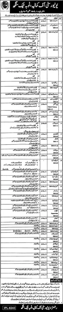 Junior Clerk Jobs 2025 University of Kamalia Latest