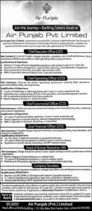 Chief Executive Officer Jobs 2025 Air Punjab Pvt Limited