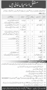 Driver Job