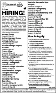 Graphic Designer Jobs 2025