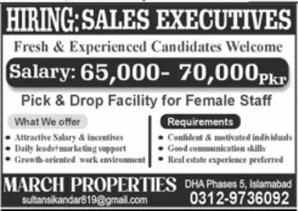 Sales Executives Jobs