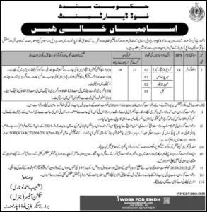 Stenographer Jobs 2025