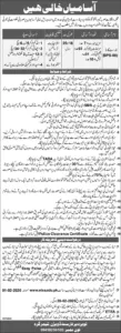 Forest Guard Jobs in Khyber Pakhtunkhwa Forest Department 2026