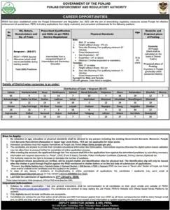 Sergeant (BS-07) Jobs in PERA Punjab