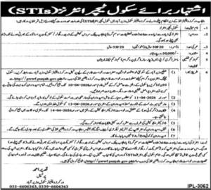 School Teacher Interns STIs Jobs in Punjab