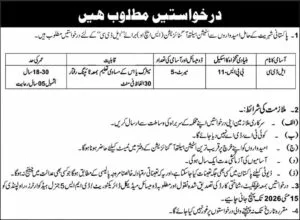 LDC Jobs in Election Commission of Pakistan 2026