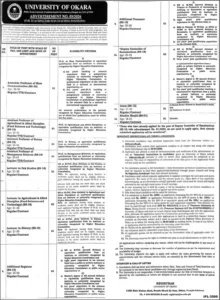Lecturer in History Jobs in University of Okara