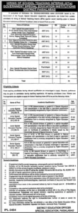 School Teaching Interns STIs Jobs 2026 Faisalabad