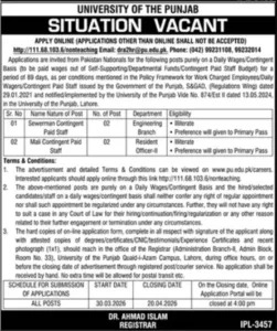 University of the Punjab Jobs 2026
