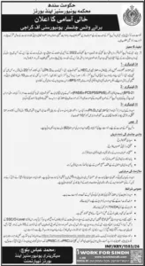 Vice Chancellor Jobs in Sindh 2026