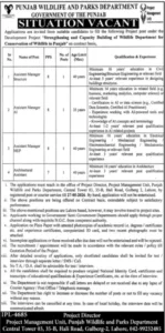 Assistant Manager MEP Jobs 2026 in Punjab Wildlife and Parks Department