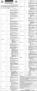 Deputy Director Jobs 2026 in Planning and Development Board Punjab